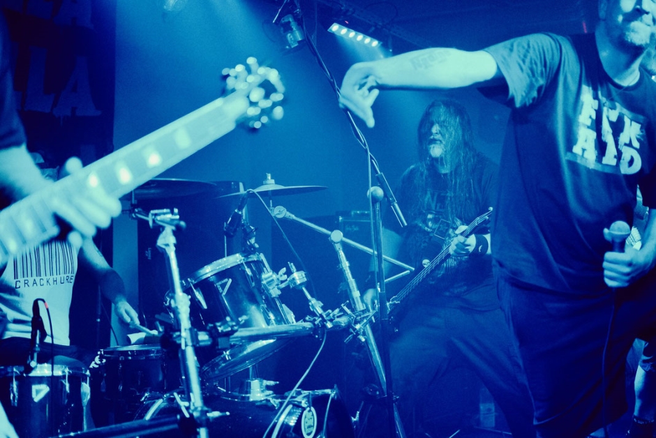 TONYGORILLAlivePIC1