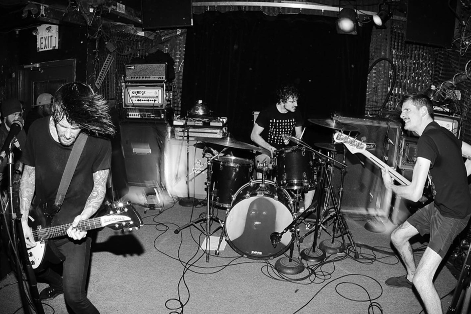 birdsinrowband